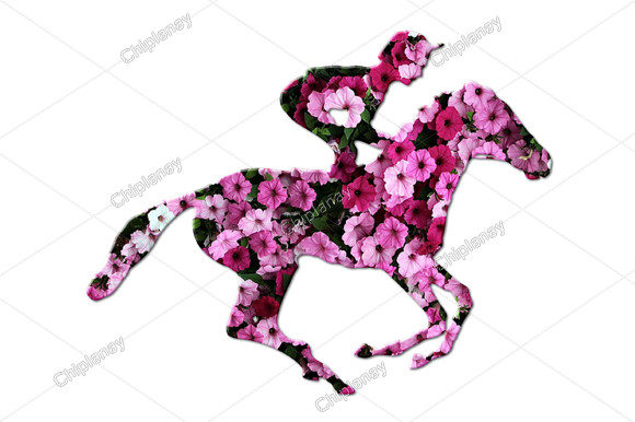 Horse Animal Rider Flowers Floral Illustration for Creative Projects