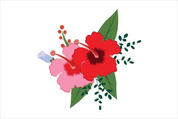 Leverage the Power of Hibiscus Illustrations