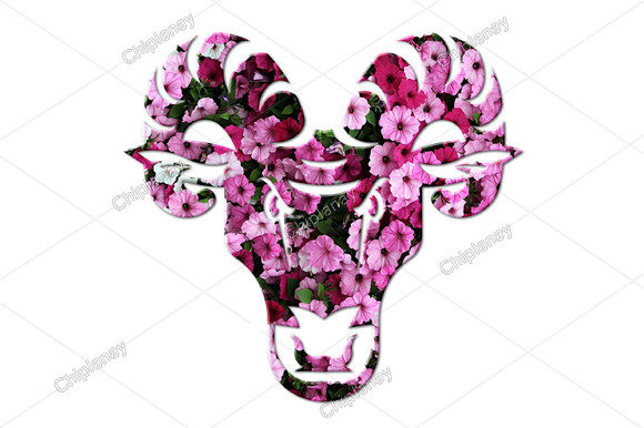 The Charm and Utility of Cow Bull Animal Head Flowers Floral Designs