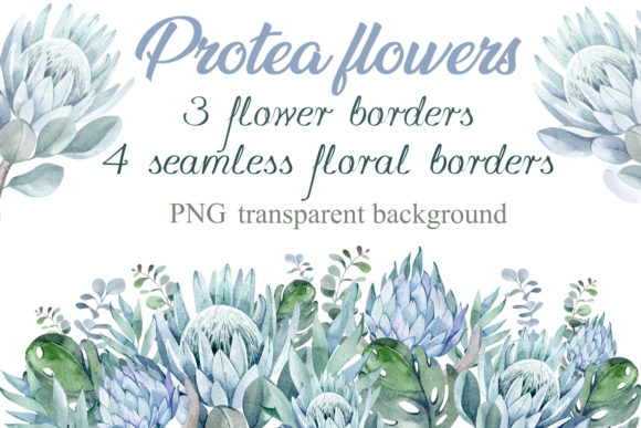 Unlock Creativity with Transparent Floral Borders